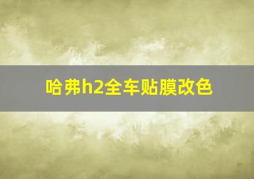 哈弗h2全车贴膜改色