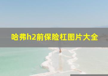 哈弗h2前保险杠图片大全