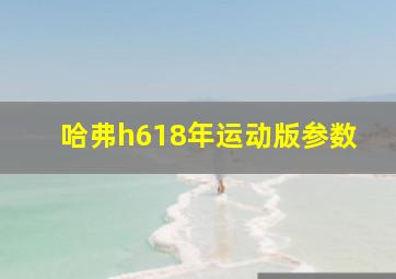 哈弗h618年运动版参数