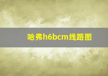 哈弗h6bcm线路图