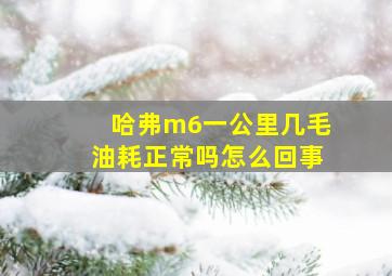 哈弗m6一公里几毛油耗正常吗怎么回事