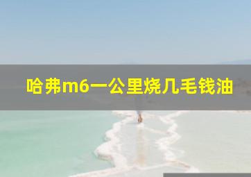 哈弗m6一公里烧几毛钱油