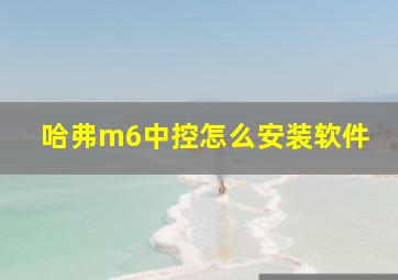 哈弗m6中控怎么安装软件