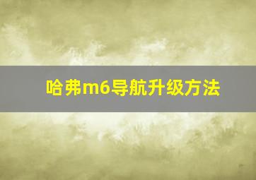 哈弗m6导航升级方法