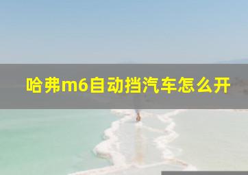 哈弗m6自动挡汽车怎么开