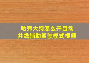 哈弗大狗怎么开自动并线辅助驾驶模式视频