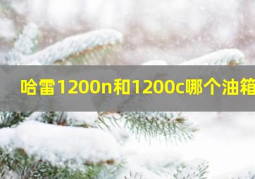 哈雷1200n和1200c哪个油箱大