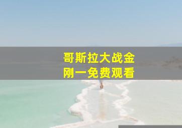 哥斯拉大战金刚一免费观看