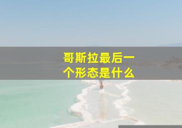 哥斯拉最后一个形态是什么