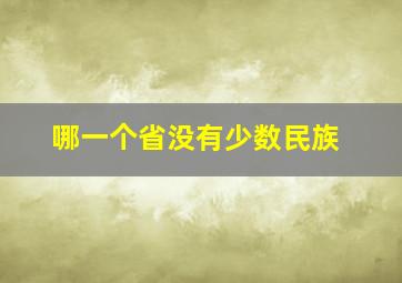 哪一个省没有少数民族