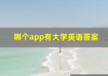 哪个app有大学英语答案