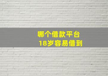 哪个借款平台18岁容易借到