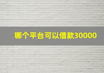 哪个平台可以借款30000