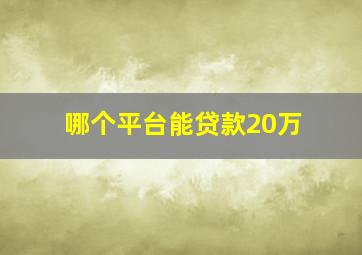 哪个平台能贷款20万