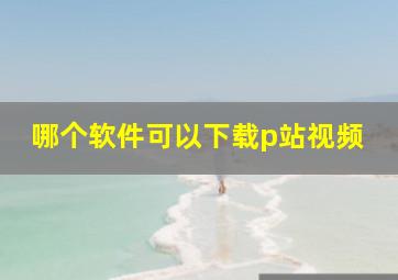 哪个软件可以下载p站视频