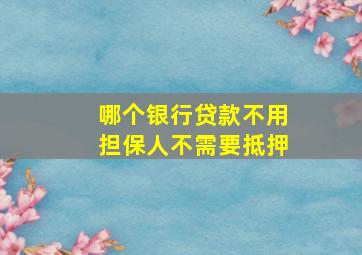 哪个银行贷款不用担保人不需要抵押