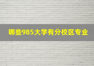 哪些985大学有分校区专业