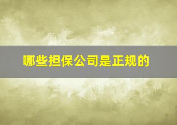 哪些担保公司是正规的