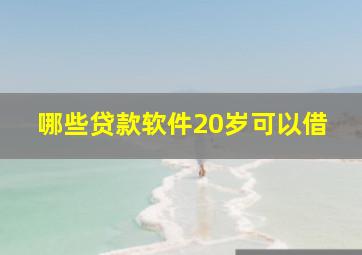 哪些贷款软件20岁可以借