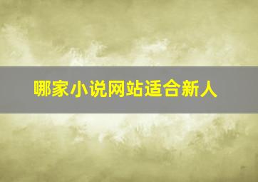 哪家小说网站适合新人