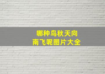 哪种鸟秋天向南飞呢图片大全