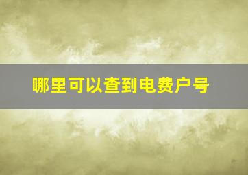 哪里可以查到电费户号