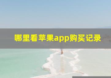 哪里看苹果app购买记录