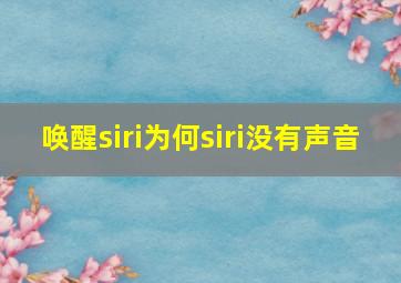 唤醒siri为何siri没有声音