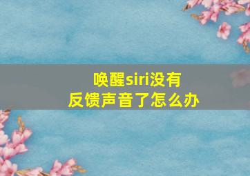 唤醒siri没有反馈声音了怎么办