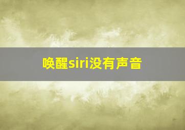 唤醒siri没有声音