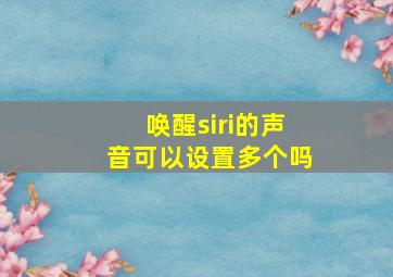 唤醒siri的声音可以设置多个吗