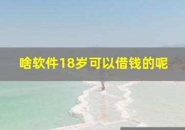 啥软件18岁可以借钱的呢