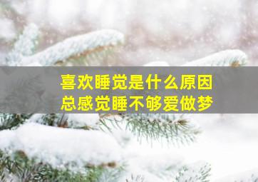 喜欢睡觉是什么原因总感觉睡不够爱做梦