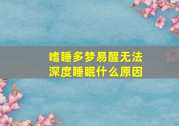 嗜睡多梦易醒无法深度睡眠什么原因