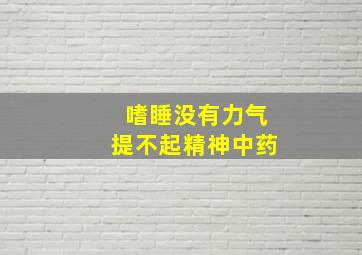 嗜睡没有力气提不起精神中药