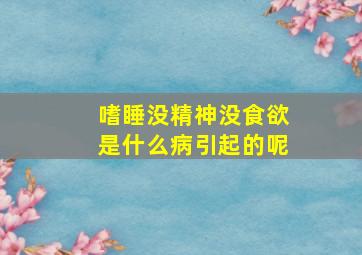 嗜睡没精神没食欲是什么病引起的呢