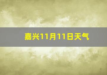 嘉兴11月11日天气