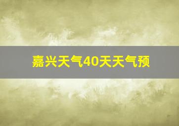 嘉兴天气40天天气预