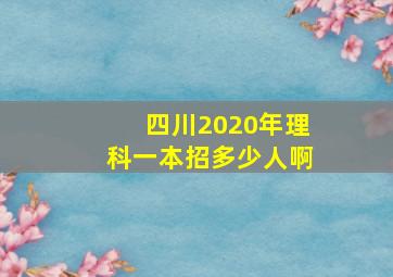 四川2020年理科一本招多少人啊