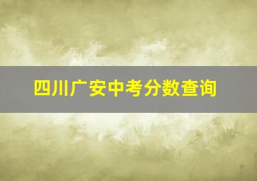 四川广安中考分数查询