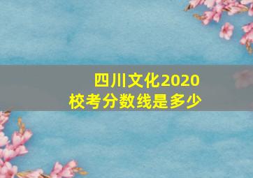 四川文化2020校考分数线是多少