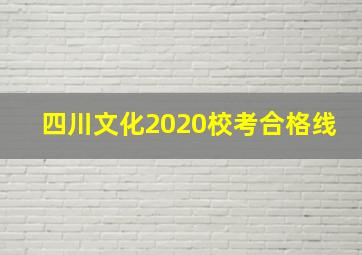 四川文化2020校考合格线