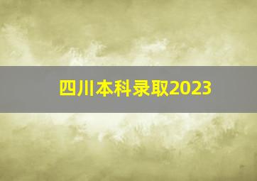 四川本科录取2023