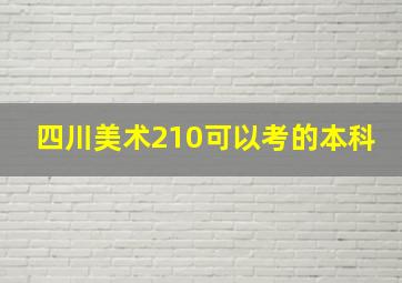 四川美术210可以考的本科