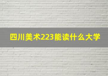 四川美术223能读什么大学