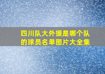 四川队大外援是哪个队的球员名单图片大全集