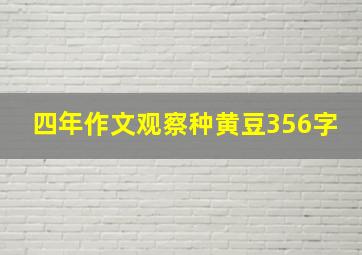 四年作文观察种黄豆356字