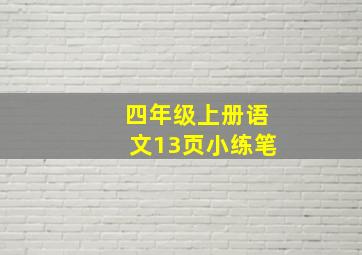 四年级上册语文13页小练笔