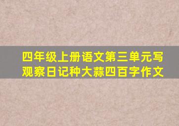 四年级上册语文第三单元写观察日记种大蒜四百字作文