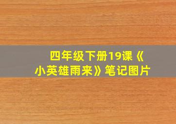 四年级下册19课《小英雄雨来》笔记图片